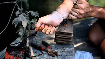 Macroinvertebrates and Data Collection