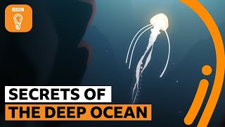 The secrets of the deep ocean | The Royal Society