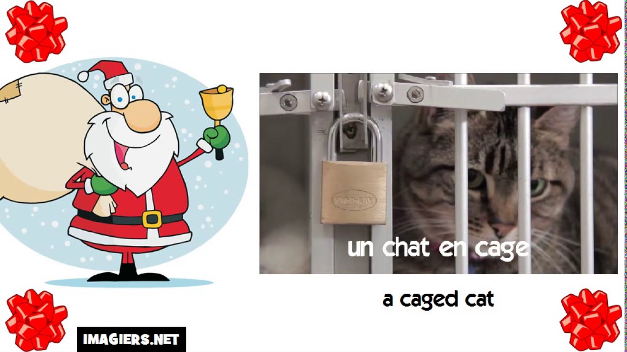 How To Say A Caged Cat In French YouTube