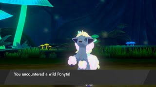 How to Catch Galarian Ponyta - Pokémon Shield Exclusive