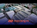 1101mw rooftop solar pv project