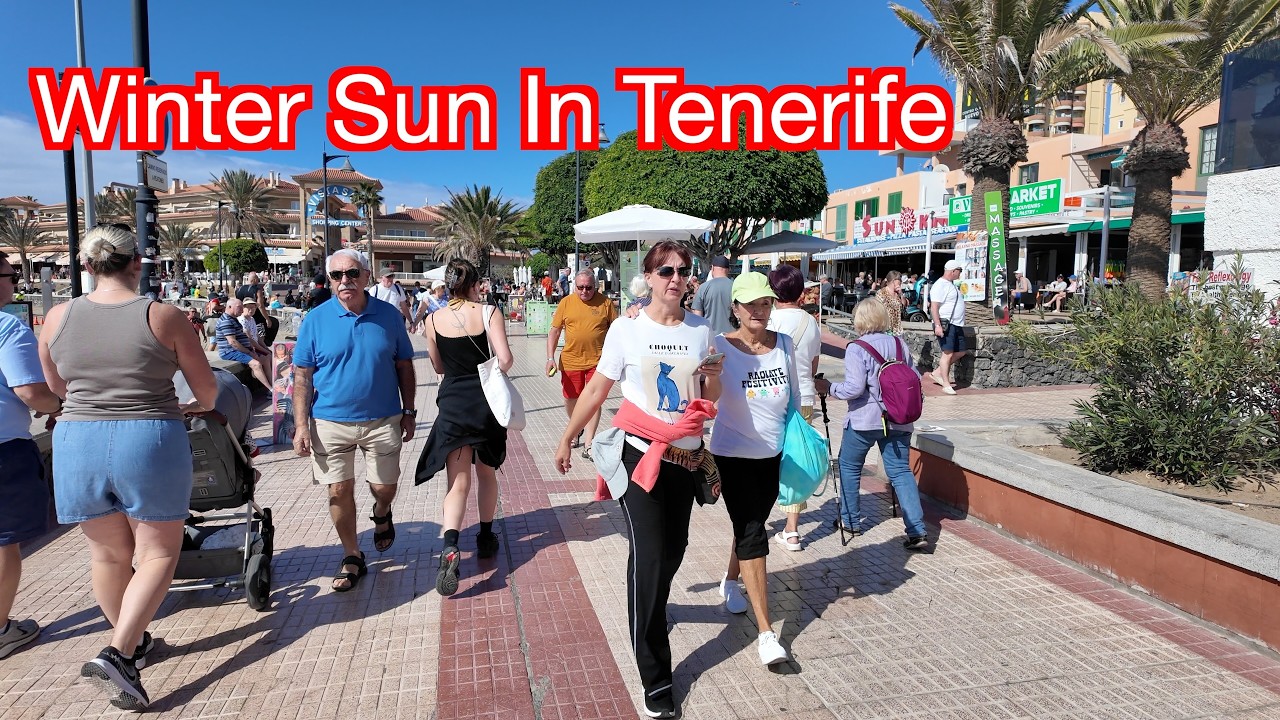 Тенерифе — лучшее место для зимнего солнца и голубого неба. Наслаждайтесь туром!