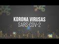 Koronavirusas Pasaulyje