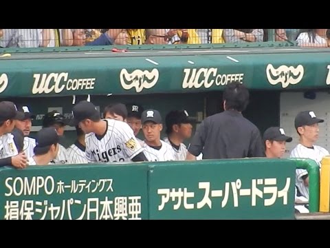阪神タイガース2016/あ、狩野さんが来たぞ、席空けないと。と席をゆずる板山(2016.10.1)