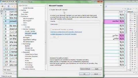 07   Machine Translation   Spellcheck   and Editing the Source Text   Advanced Wordfast