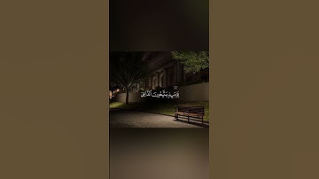 القارئ محمد اللحيدان(ويسألونك عن الجبال) Reader Mohammed Al-Luhaidan