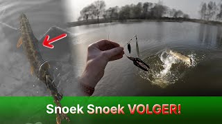 Wat Een Hotspot Snoeken Als Een Gek In Maart 2025