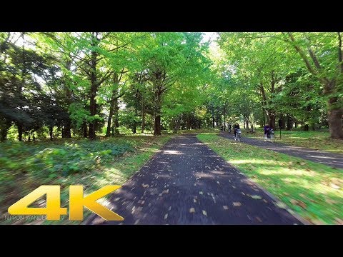 Cycling in Showa Kinen Park, Tokyo - Long Take【東京・昭和記念公園】 4K