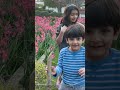 Flowers Spring #brothersister #happykids #cute #viralvideo #flowers #garden #sports #skating #fyp