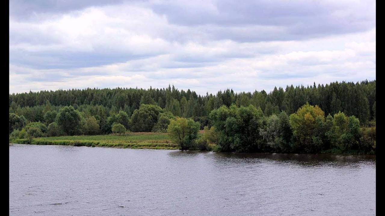 Костромские реки и озера. Река Волга в Костроме. Костромка река в Костроме. Река Волга Костромской район. Река кантат Красноярский край.