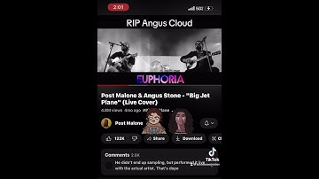 Thumbnail of Post malone and Angus big jet plane
