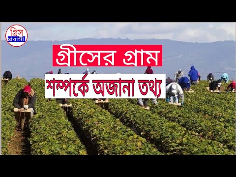 ভিডিও: গ্রীস ট্র্যাপ পাম্পিং কি?