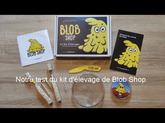 Kit de culture pour blob - Blobshop
