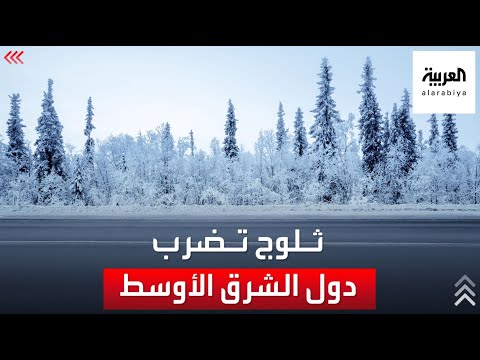 فيديو: هل تساقطت الثلوج من قبل في الشرق الأوسط؟