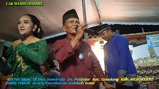 Download Lagu Pedut pasar ngunut vocal pengemar sawer / campursari ADI LARAS MP3
