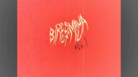 Birds of Maya - Killer in the Snow