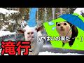 【猫ミーム】占い師の滝行！！