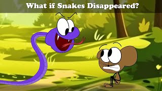 What If Snakes Disappeared? More Videos
