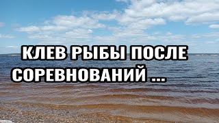 Клев рыбы после фидерных соревнований. Проверяем теорию клева !