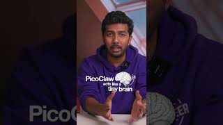 This OpenClaw alternative can run with just 1% of the memory and you don’t even need a Mac for it