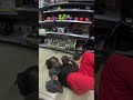 Shenanigans Part 1