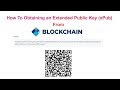 How To Obtaining an Extended Public Key xPub From Blockchain Wallet