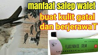 Salep walet Sriti untuk wajah dan kulit gatal_ternyata inilah hasiatnya