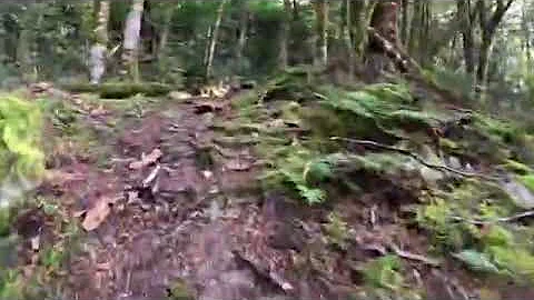 Eius incidunt inventore nulla accusamus nemo 1005081