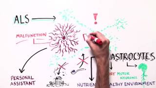 ALS Whiteboard Video -- 60 seconds