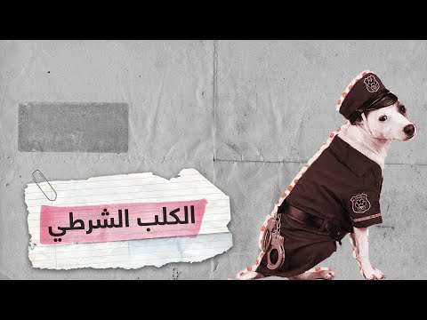 كلب يساعد الأطفال على عبور الشارع | RT Play