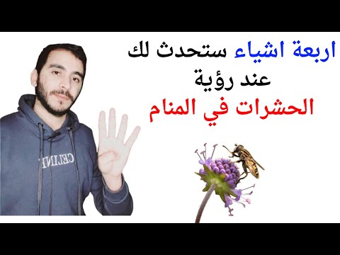 اربعة امور ستحدث لحياتك عند رؤية الحشرات في المنام  تفسير حلم رؤية الحشرات في المنام