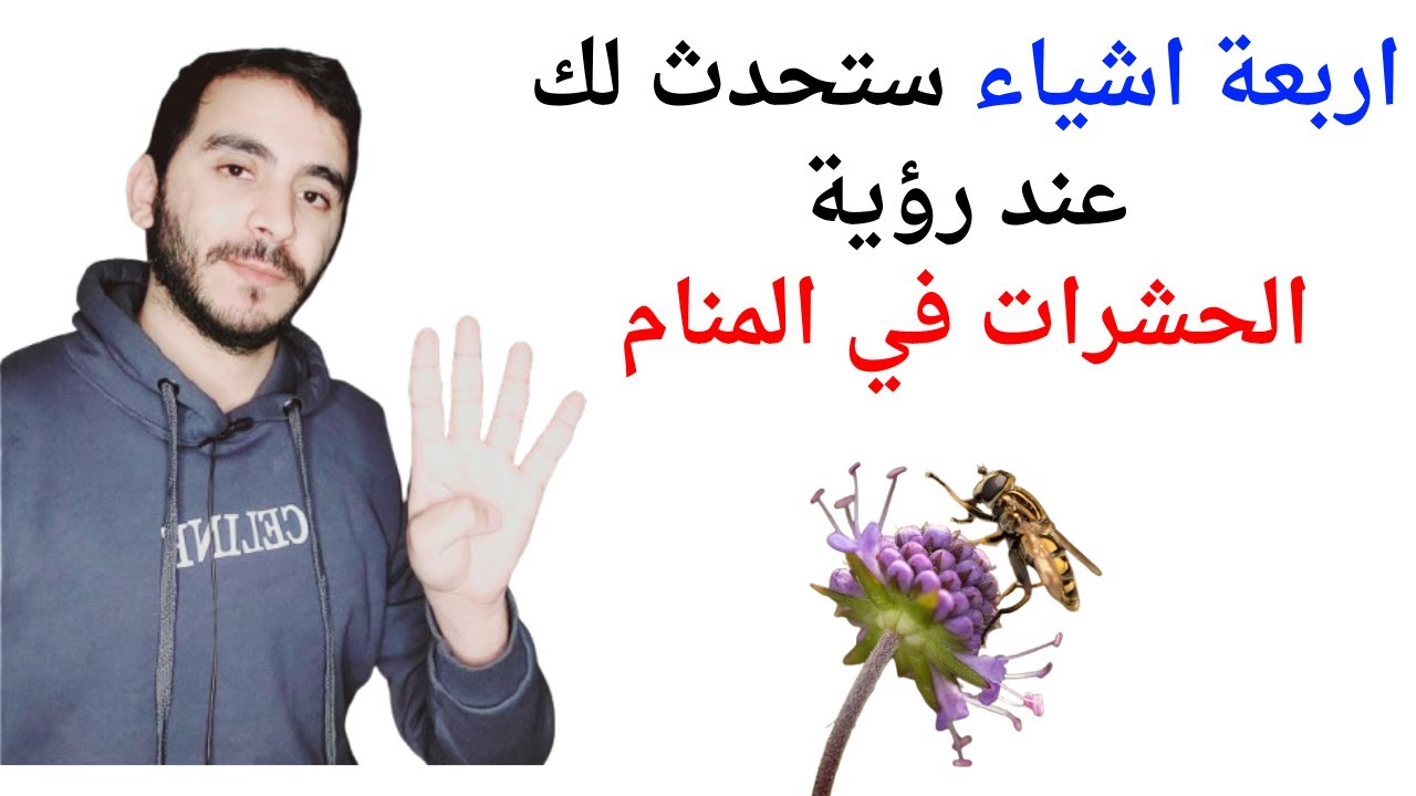 اربعة امور ستحدث لحياتك عند رؤية الحشرات في المنام l تفسير حلم رؤية الحشرات في   المنام