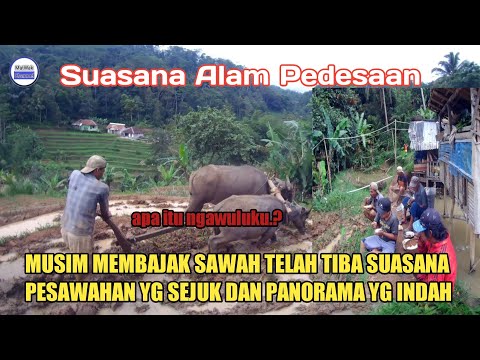 Video: Habis Musim