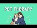 Benefits of Pets and How to Spend Time with Them