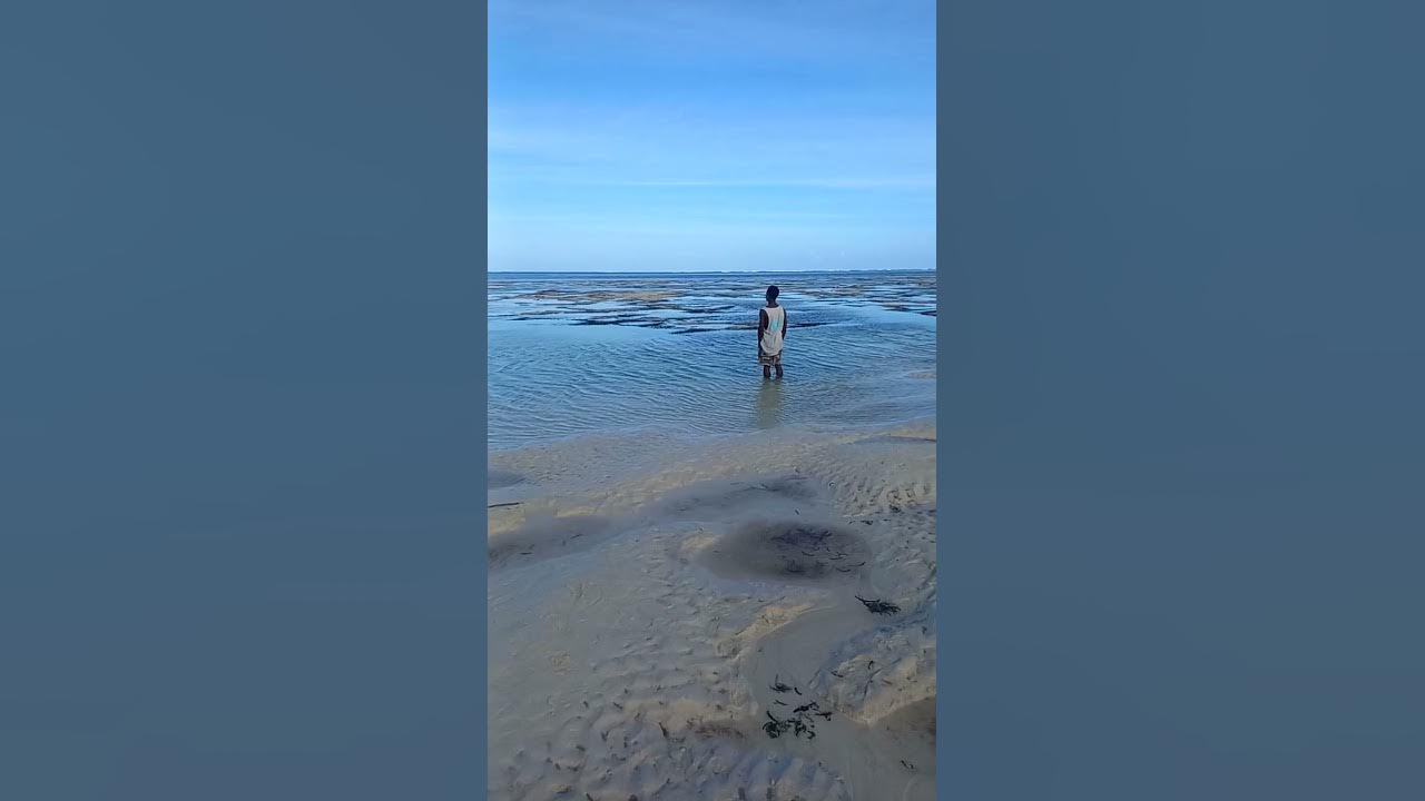 Shelly Beach Likoni Mombasa Best Beach Site In Mombasa Kenya For shelly-beach-likoni-mombasa-best-beach-site-in-mombasa-kenya-for