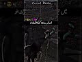 Ameen Ya Rabbul Alameen Ameen Ya Rabbul Alameen