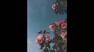 {free} brockhampton | tyler the creator |  type beat 2019 'stained tees'.