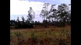 Video of Kiambu road plots for sale near Muthithi Gardens