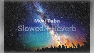 Haaledilghulammustafaqadri Slowedreverb The Slowed Reverb Master