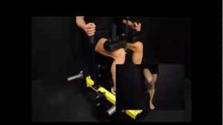 Holly Chambliss The Dynavec Calf Machine