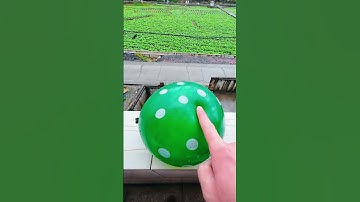 🟢🔵🔴Will a water balloon explode if it rolls down from a tall building? 💥🎈 #balloon