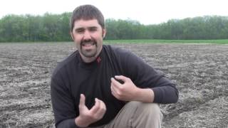 Soybean Emergence and Germination Common Issues