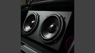 Low Bass Test Sub Punish