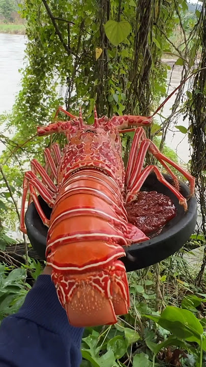 First time eating lobster this big🤤 #787 #KOOKIKO