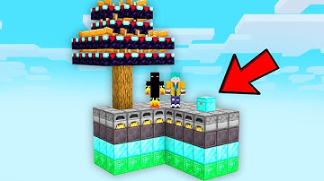 Skyblock, but Island Changes Blocks Every Minute