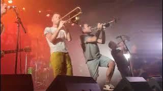 Zero Talent - No Future? (Live @ Noumatrouff in 2024)