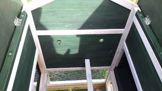 Ebay from uk coops CHICKEN COOP & RUN HEN HOUSE POULTRY I made bigger CHICKEN COOP & RUN HEN HOUSE POULTRY bit small but so i made it bigger.
