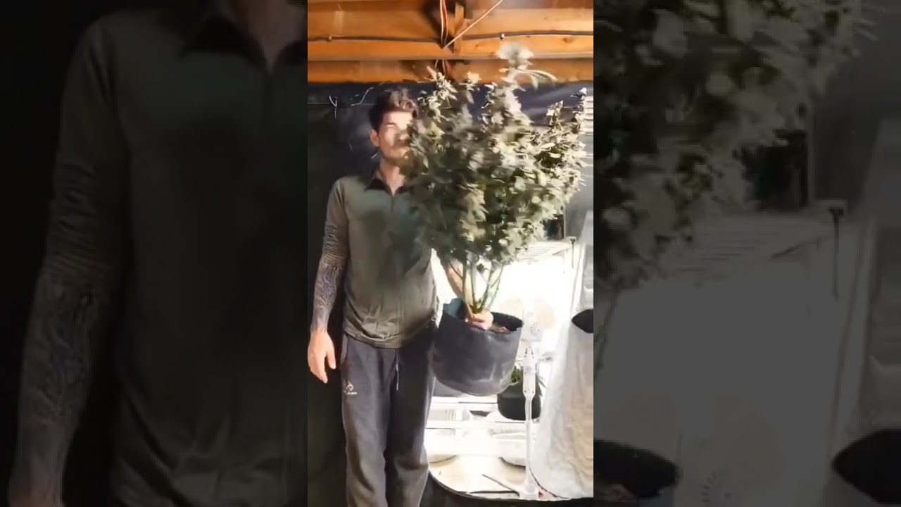 how to get the most fron your dry time? read the comments and subscribe for more tips and tricks.