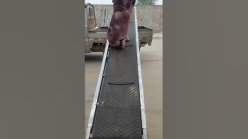 Folding belt conveyor. Fertilizers, cement boxes, feed bags. sand. The length can be customized