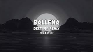 Vulgo FK, MC PH, Veigh - Ballena | Destiiny Remix (Speed Up)